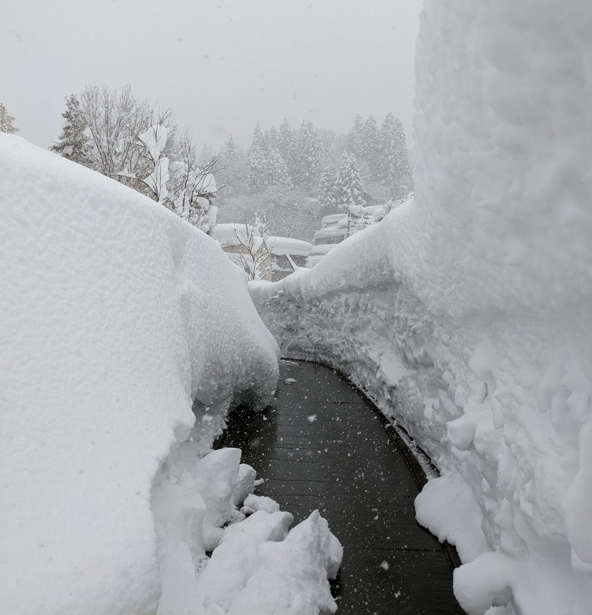 Fresh snow dump in Nozawaonsen